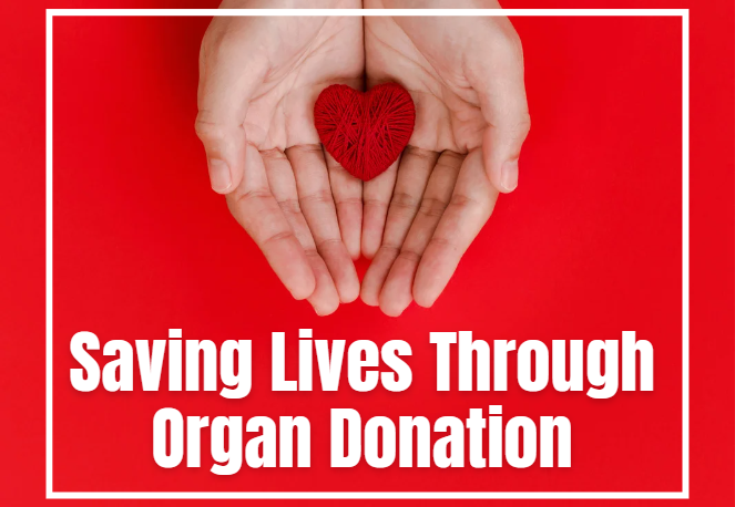 Saving Lives Through Organ Donation