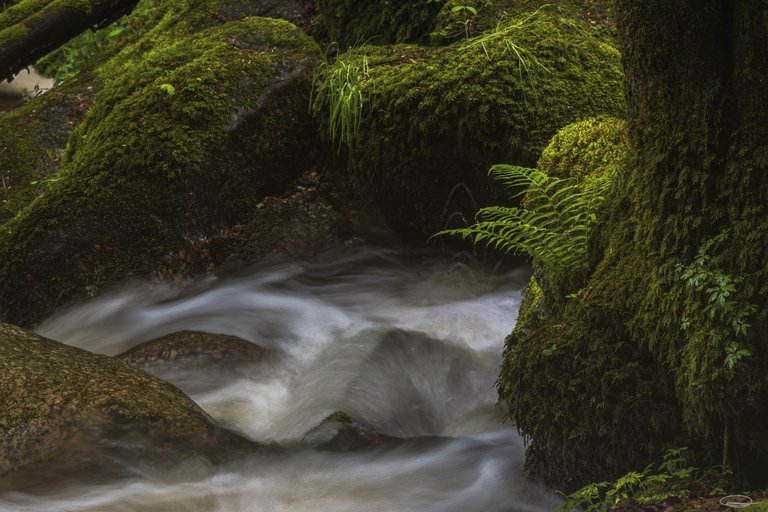 Wolfsschlucht / Wolfs Gorge - Bad Kreuzen - Austria - Johann Piber