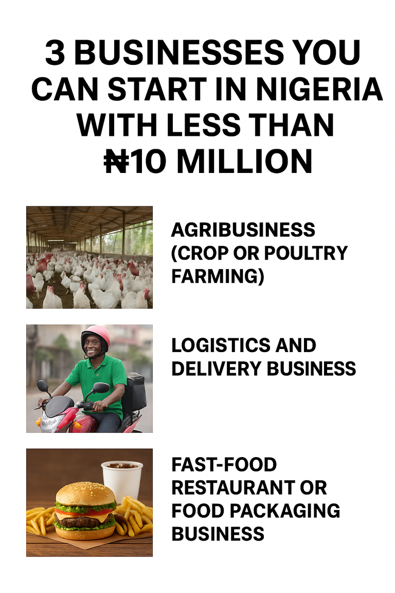  3 Businesses You Can Start in Nigeria with Less Than ₦10 Million