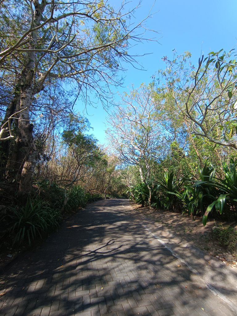 Walking In Sawangan Village