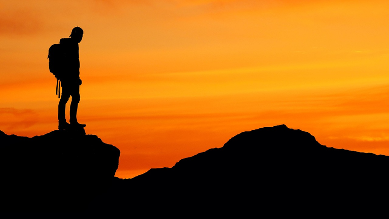 The Dreams That Drive Me Every Day