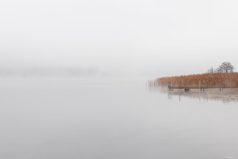 2021_11_21_foggy_lake_8769_3000px.jpg