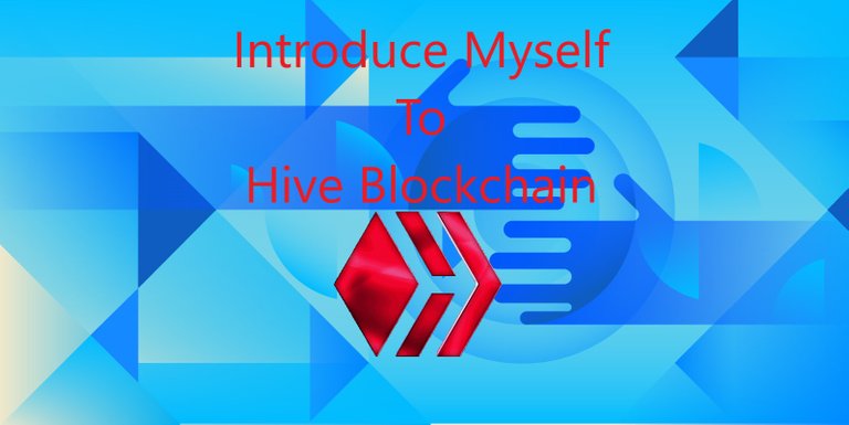 Introduce Razinee To Hive