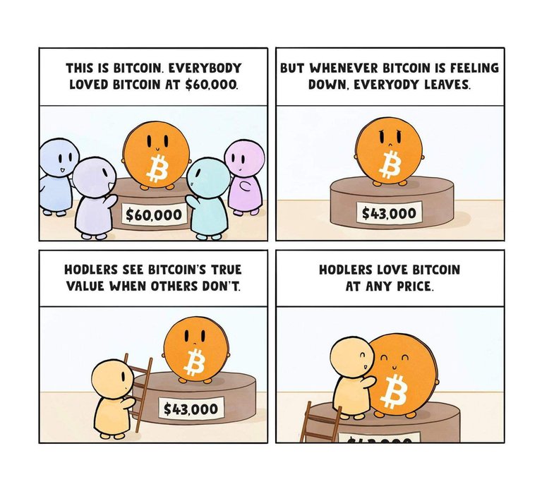 076_bitcoin_and_hodler.jpg