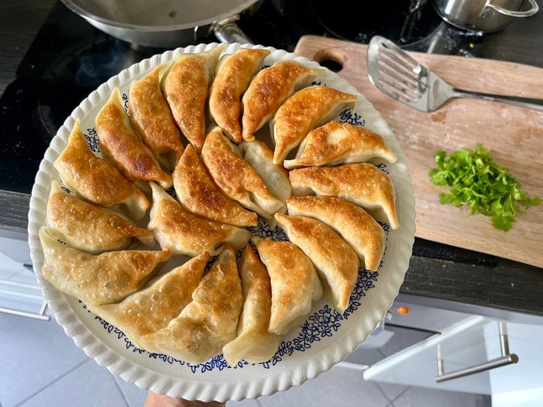 Gyoza