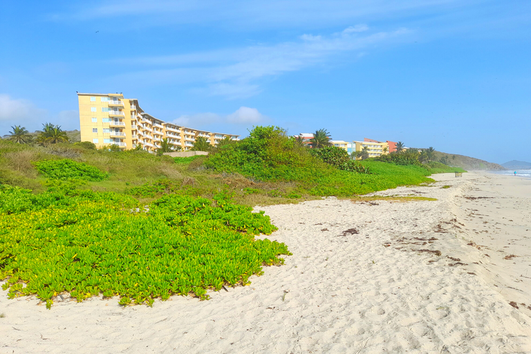 caminata_en_playa_parguito_11.png