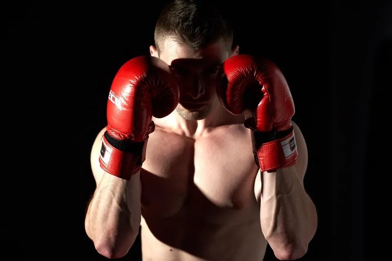 The Knockout Coach 