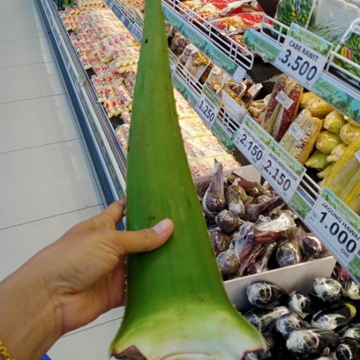 Shopping for the aloe-vera at the mall