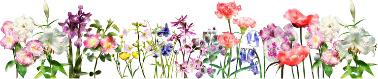 flowers_banner_170815_1092426.png
