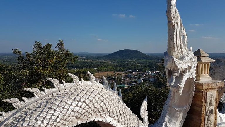 dragon_head_view.jpg