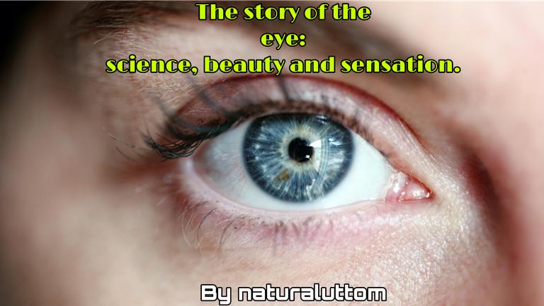 The structure and process of vision of the human eye - a scientific analysis.