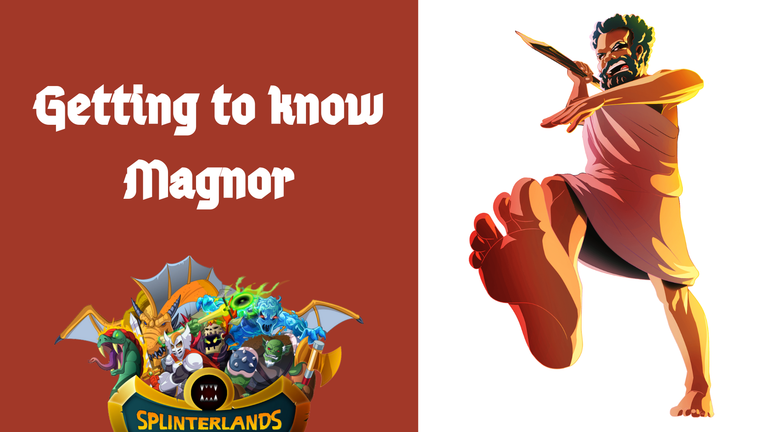 Getting to know Magnor