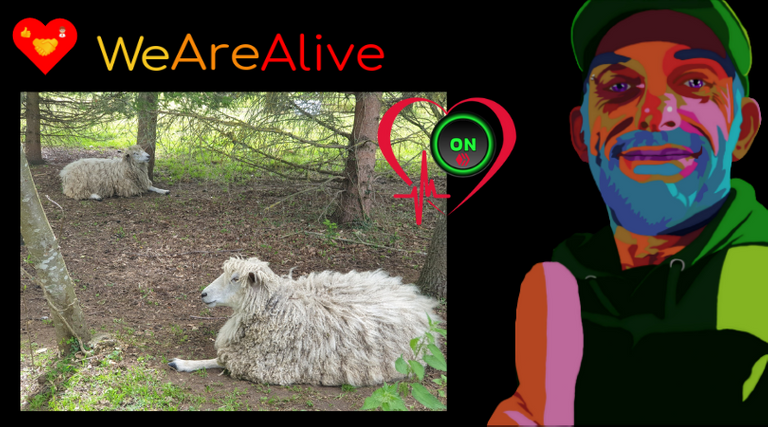 we_are_alive_110622