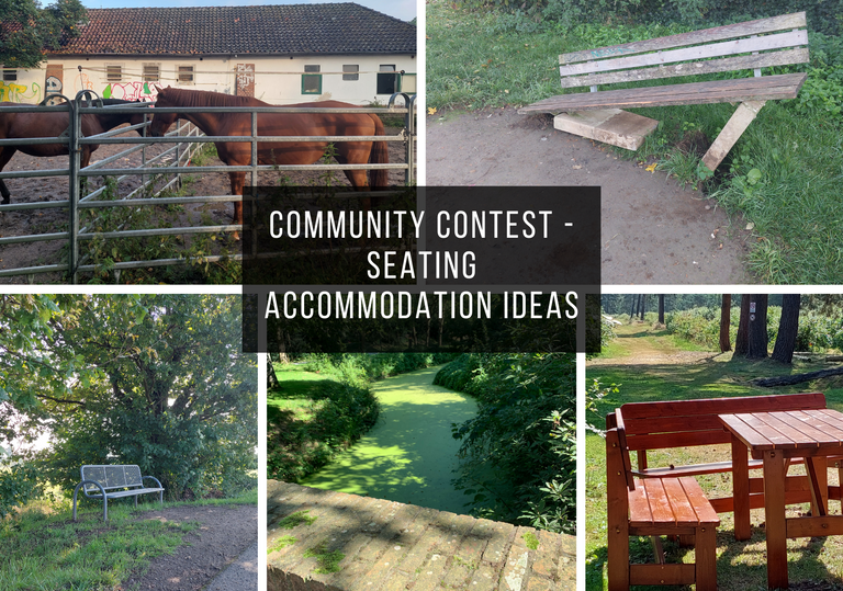 community_contest_seating_accommodation_ideas.png