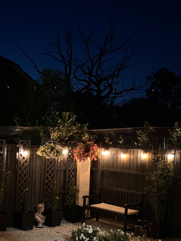 A Beautiful Twilight Night