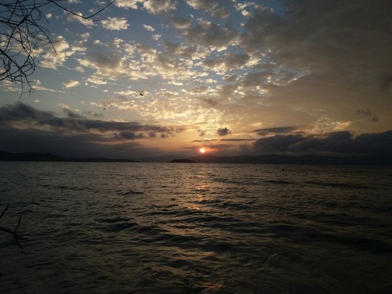 atardecer_en_brasil.jpg