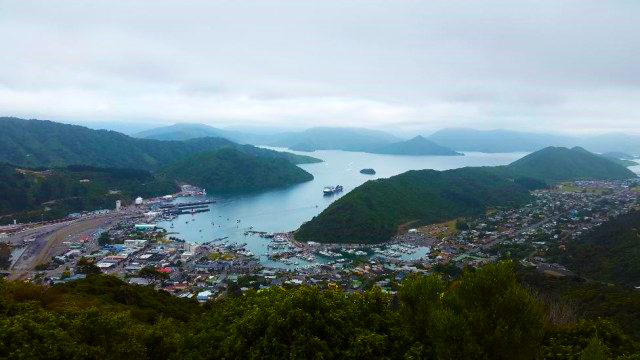 ferry_in_picton.png