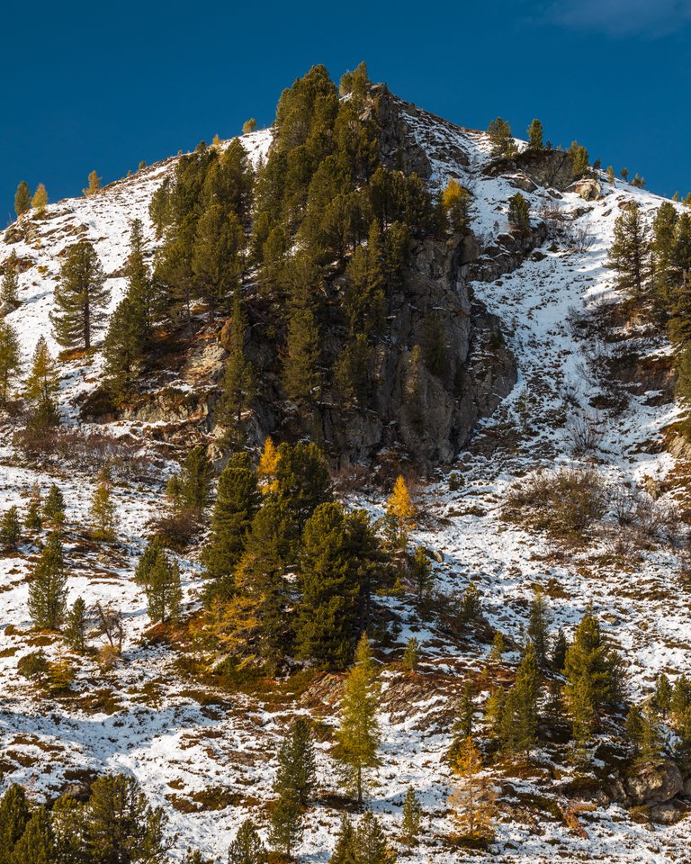 Autumn 2021 - Nock Mountains, Carinthia, Austria