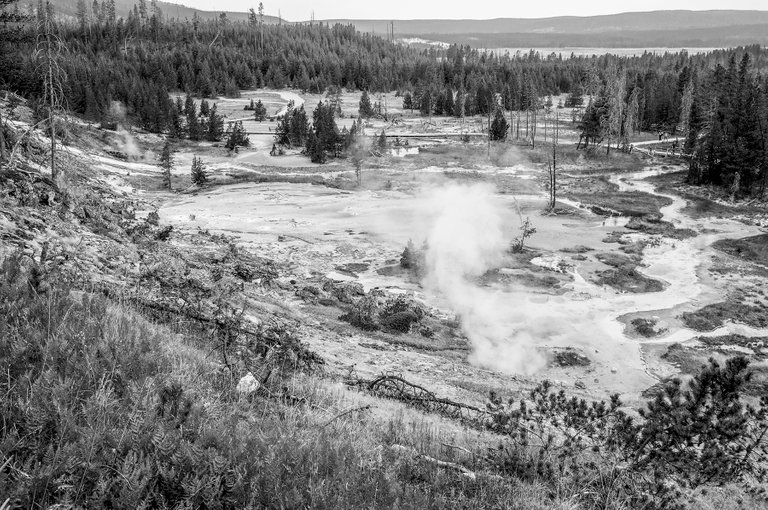 new_bw_yellowstone_5.jpg