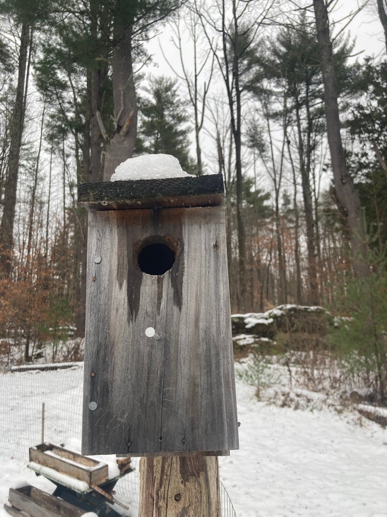 Snow on the roof