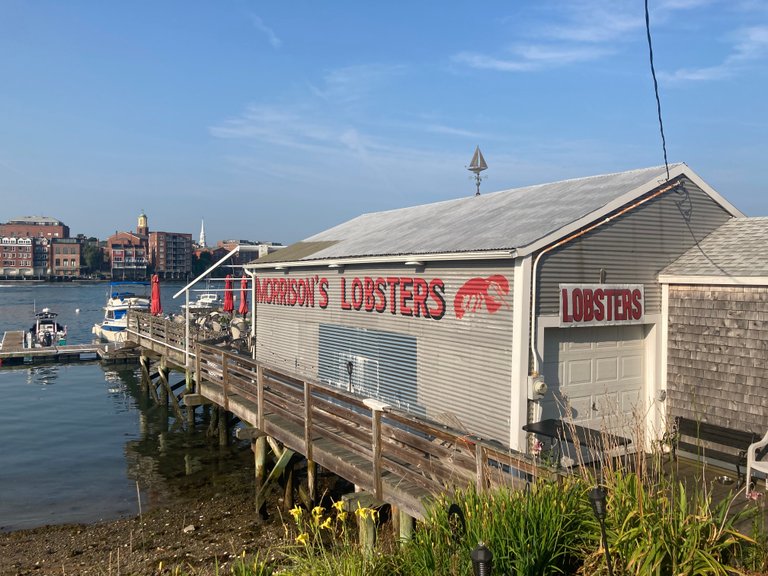 Lobster market