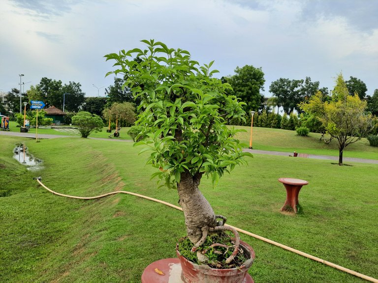 Visit to an eco-park