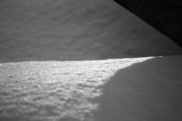 bw_snow_img_1051.jpg