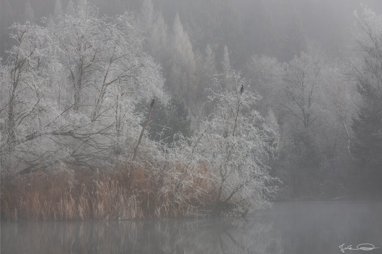 Hive AlphabetHunt Linsendorfer See Lake - Linsendorf and Lake Bohinj