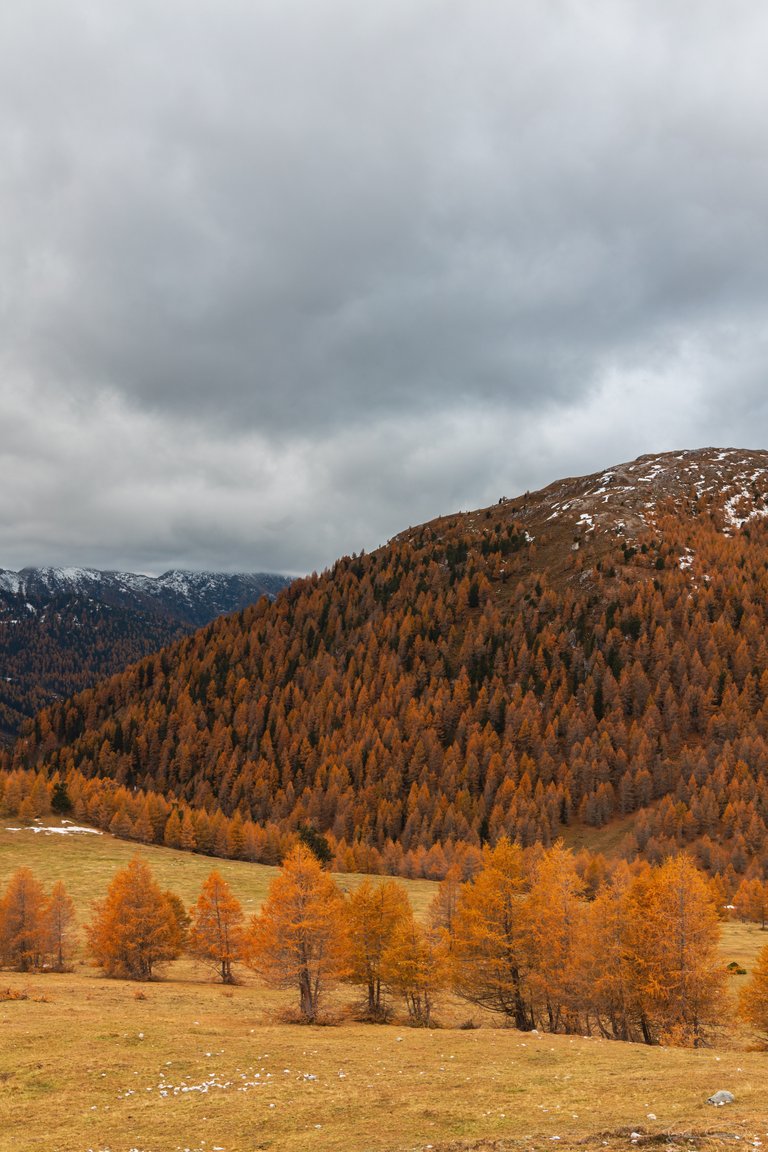 Carinthia - Nockalm