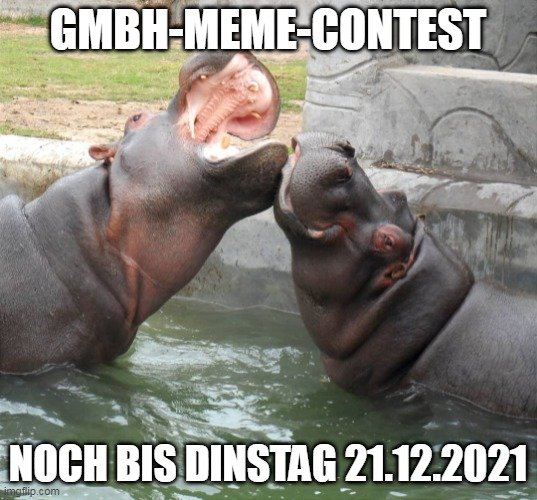 meme_gmbh_contest_nilpferd_hive_138307_lil_.jpg