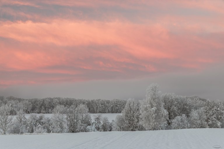 Season Hunt Challenge - Winter Hunt - LIGHTS AND CANDLES