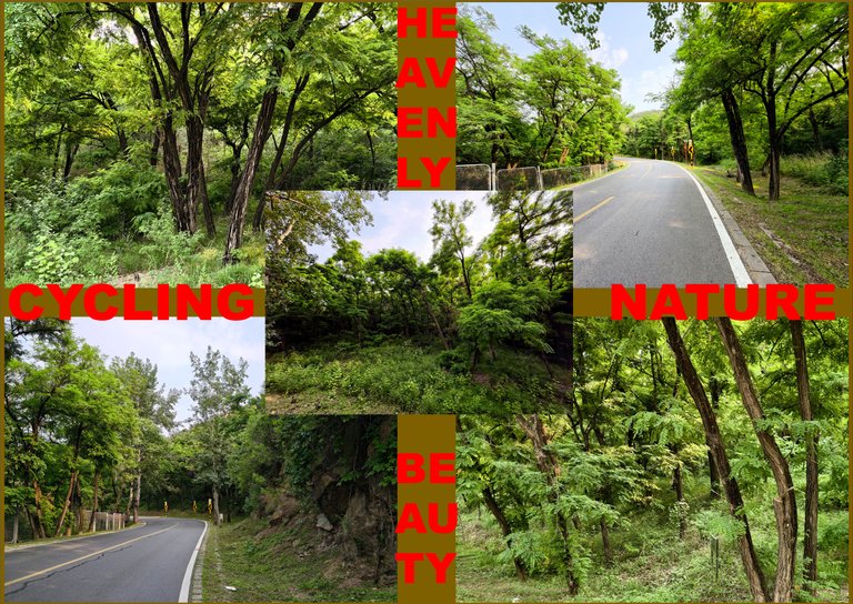 Cycling In The Heavenly Green!
