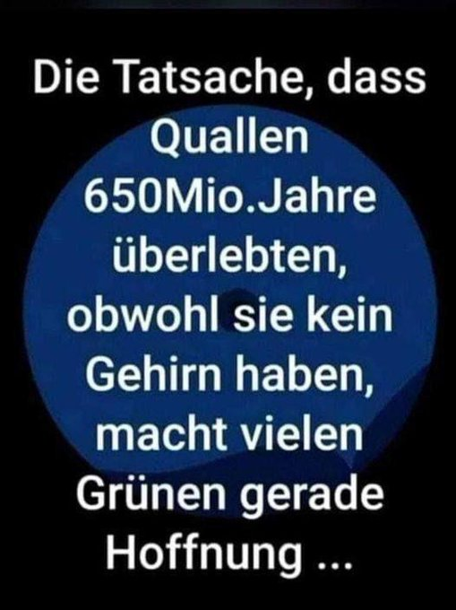 grafik.png