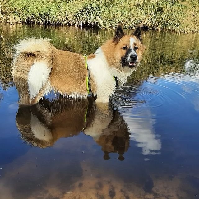 Tanny playing on the waters