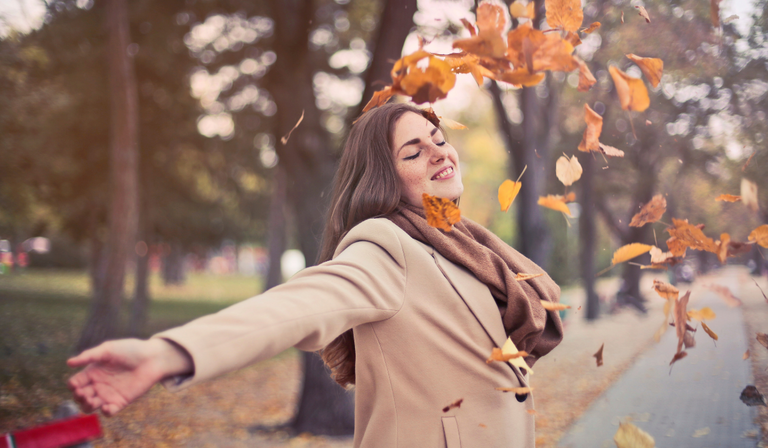 fall_6.png