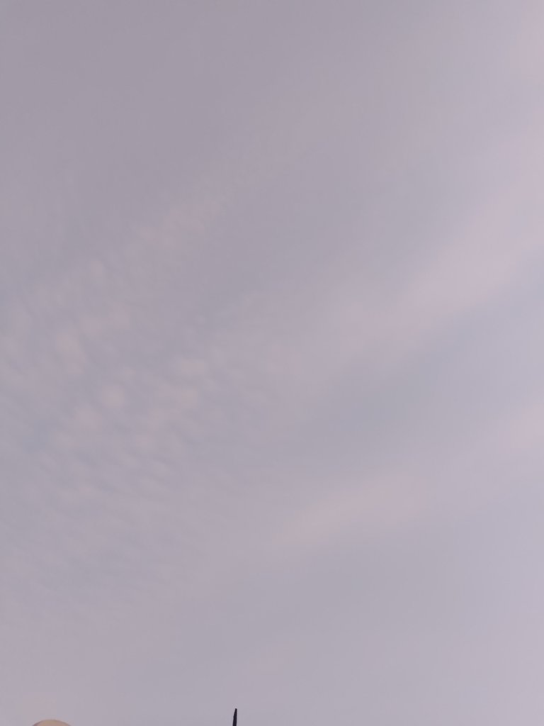 1000015161.jpg