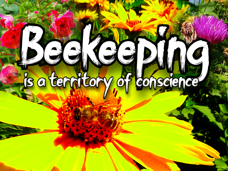 Beekeeping is a territory of conscience.