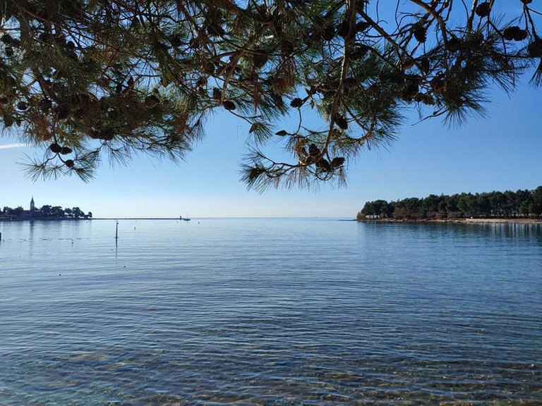 novigrad_karpinjan_beach.jpg