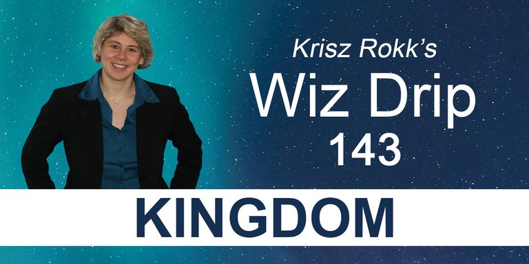 Krisz Rokk's Wiz Drip - 143 Kingdom