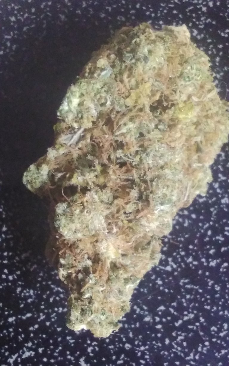 nug_2_again.jpg