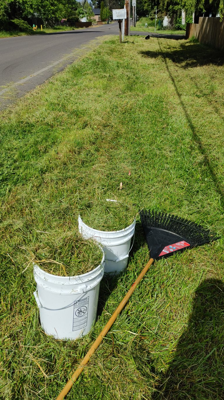 20220524_101104_hdr.jpg