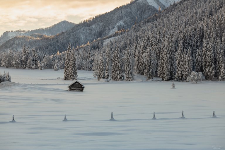 Season Hunt Challenge - Winter Hunt - SNOWY BUILDINGS