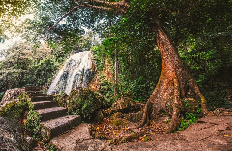 Foto unida digitalmente, resultado de 6 fotografías diferectes
