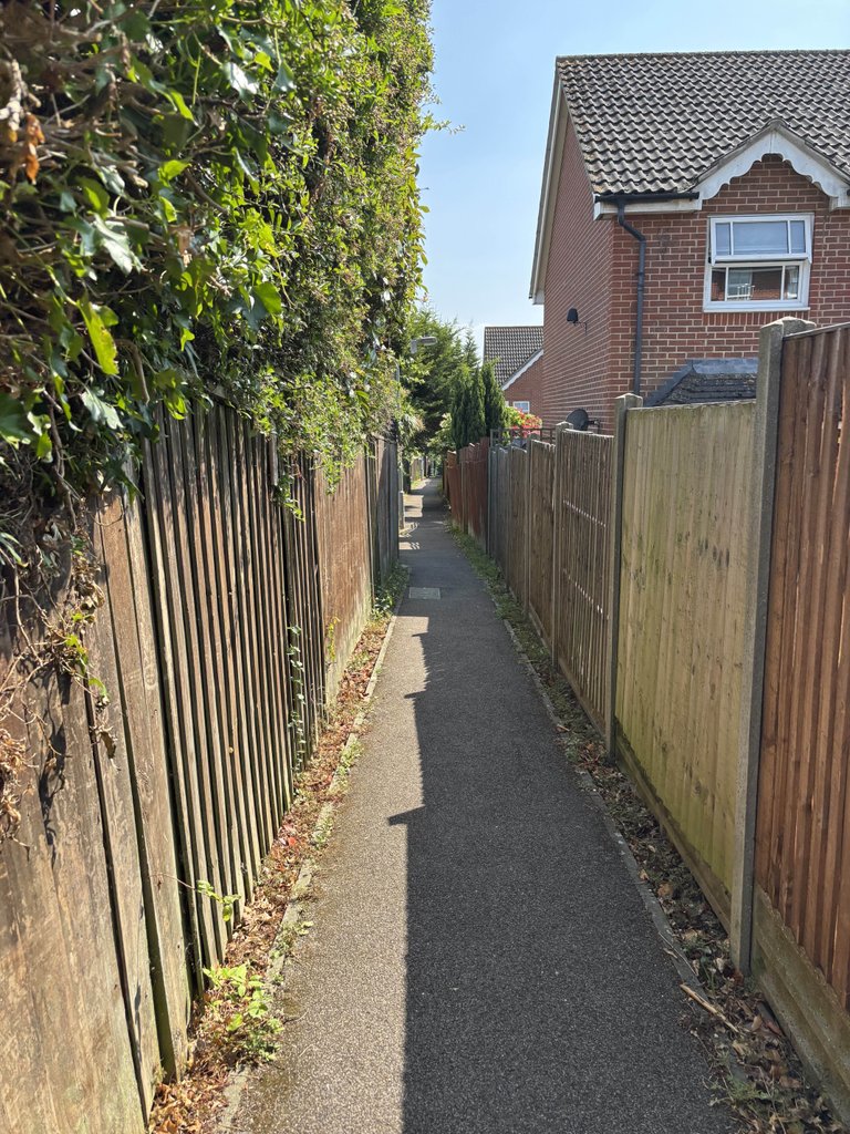 Afternoon Walk in The Heat