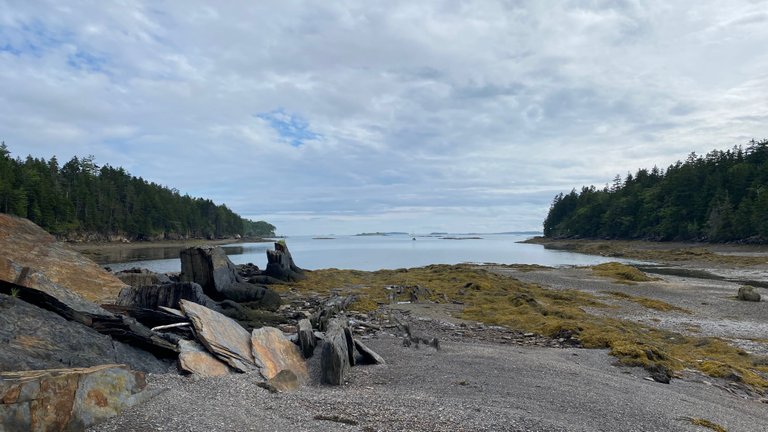 Low tide