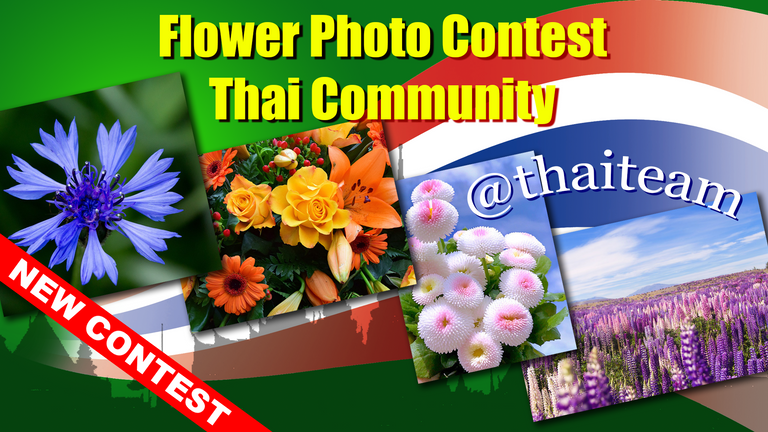 flower_photography_contest_n5.png