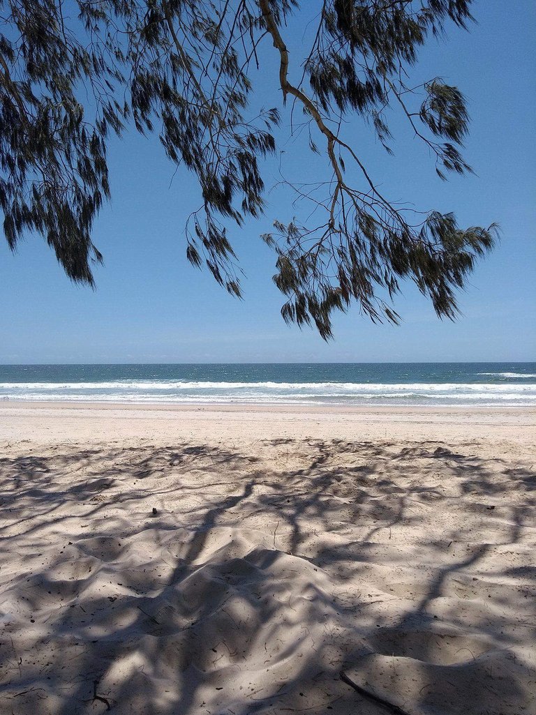 fraser_island_oct_2020_299.jpg