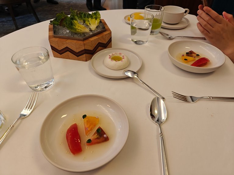沉睡的番茄
