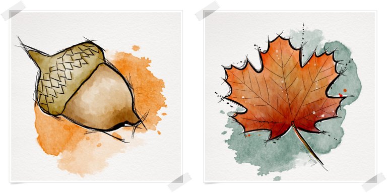 acorn_and_leaf.jpg