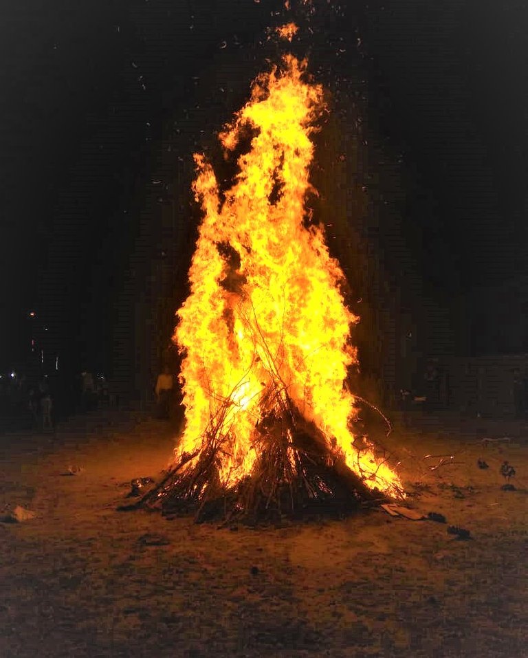 holika1.jpeg